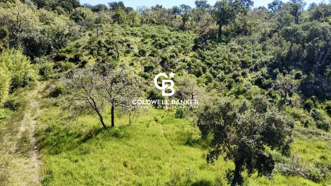 Land in Grimaud, Provence-Alpes-Côte d'Azur, France 2 - 17780125