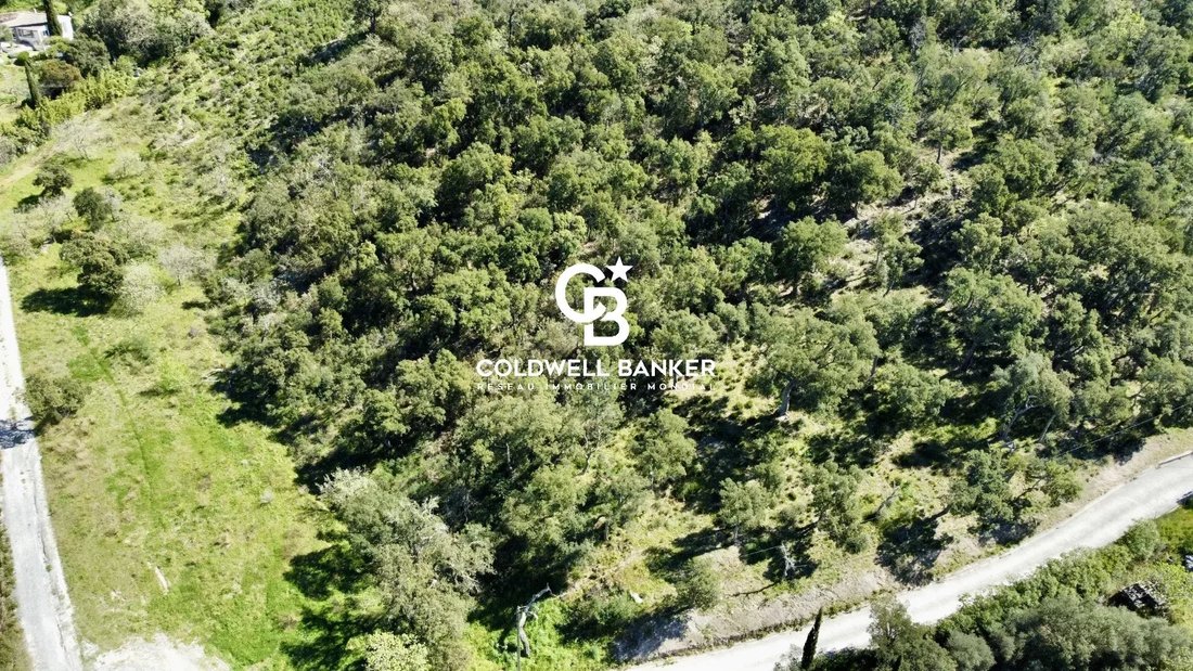 Land in Grimaud, Provence-Alpes-Côte d'Azur, France 4 - 17780125