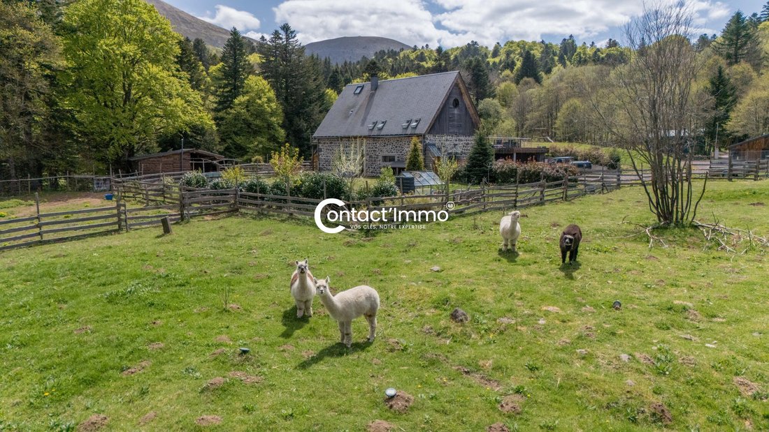 House in Mont-Dore, Auvergne-Rhône-Alpes, France 2 - 17783691