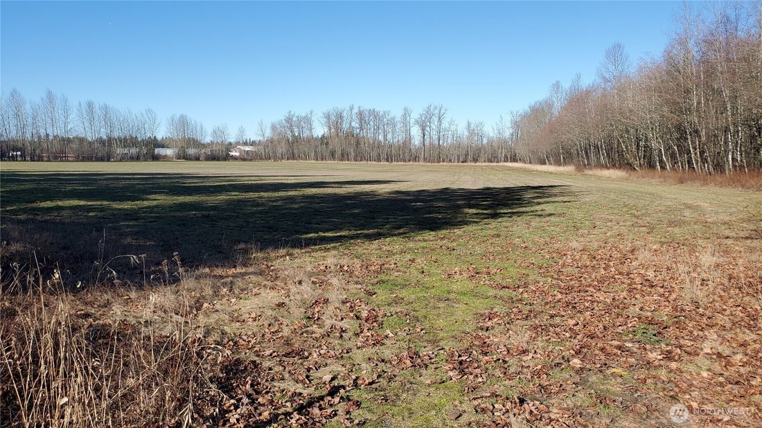 Terrain à Ferndale, Washington, États-Unis 5 - 17782963