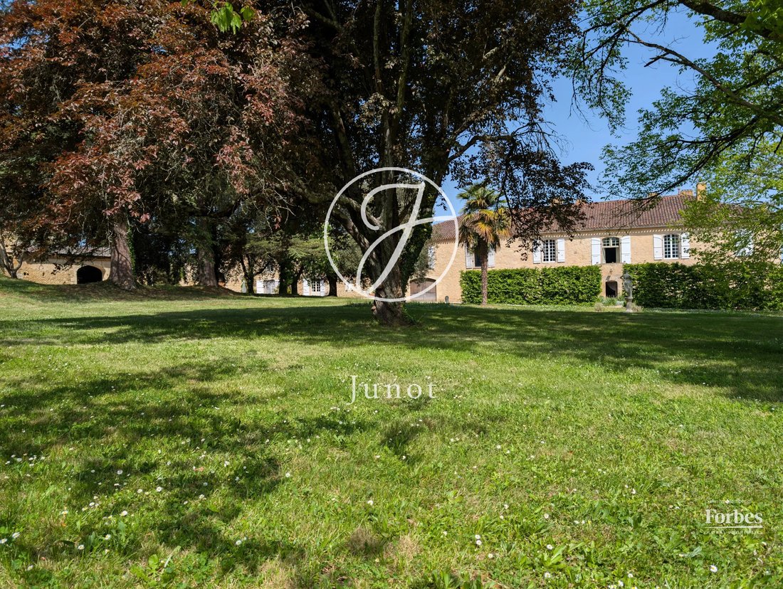 Château Vic Fezensac 503.14 Sqm 9 Rooms