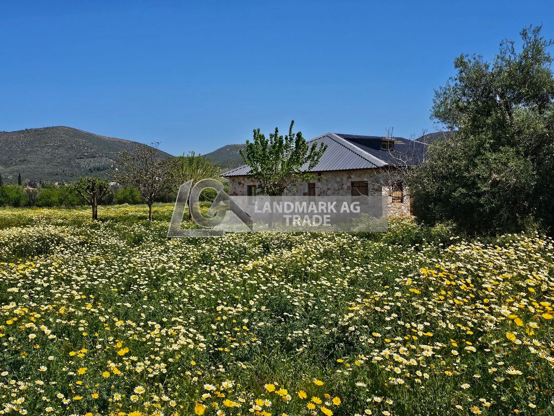 Land in Marathonas, Attica, Greece 4 - 17778827