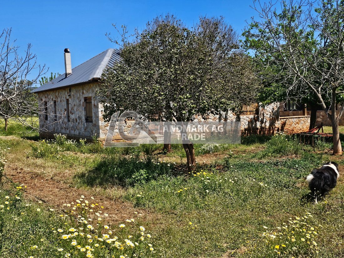 Land in Marathonas, Attica, Greece 1 - 17778827