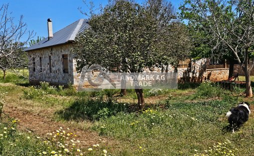 Land in Marathonas, Attica, Greece 1