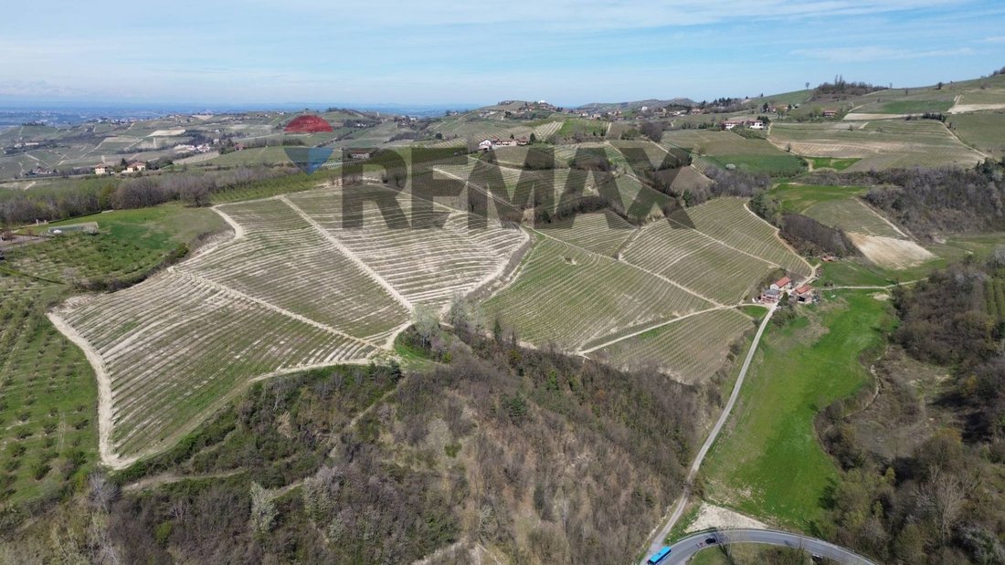 Terrain à Alba, Piémont, Italie 5 - 17783460