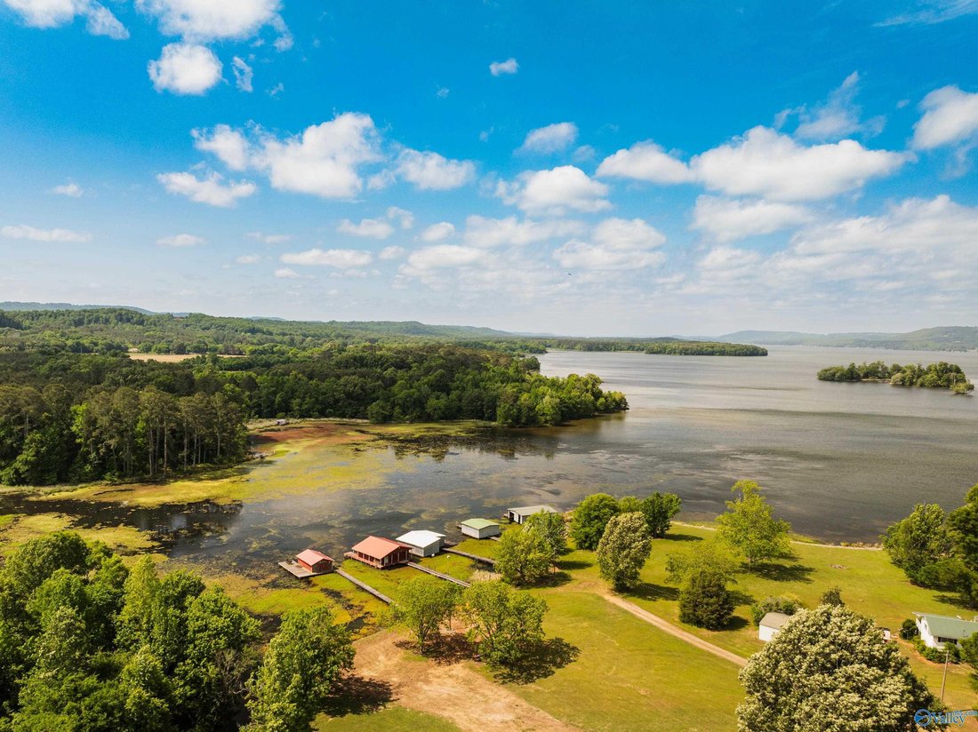 House in Langston, Alabama, United States 3 - 17779021