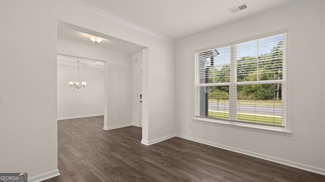 House in Hampton, Georgia, United States 5 - 17158705