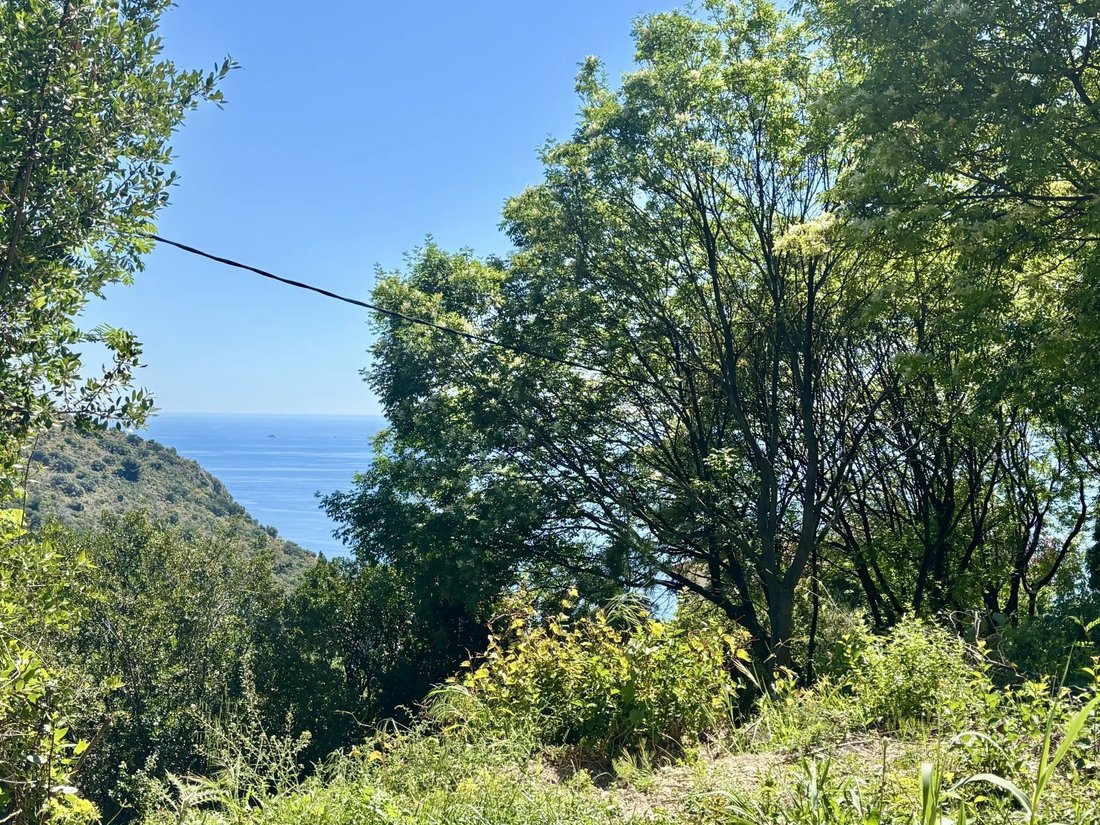 Land in Èze, Provence-Alpes-Côte d'Azur, France 2 - 15980483