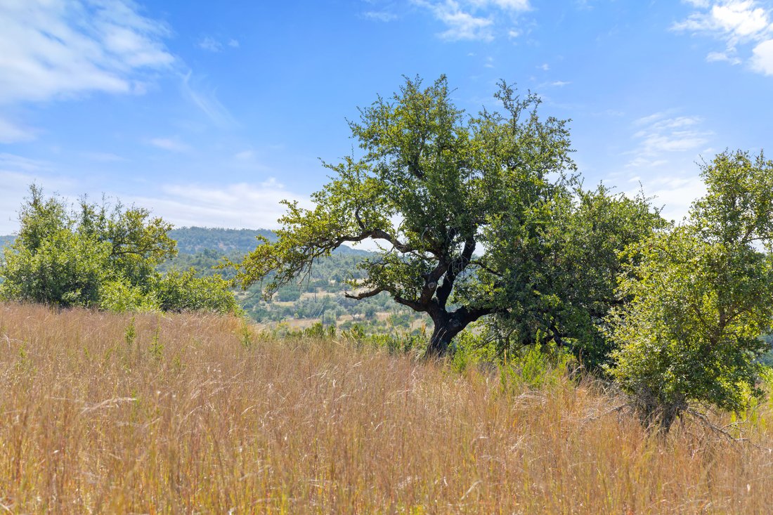 Land in Wimberley, Texas, United States 4 - 17783755