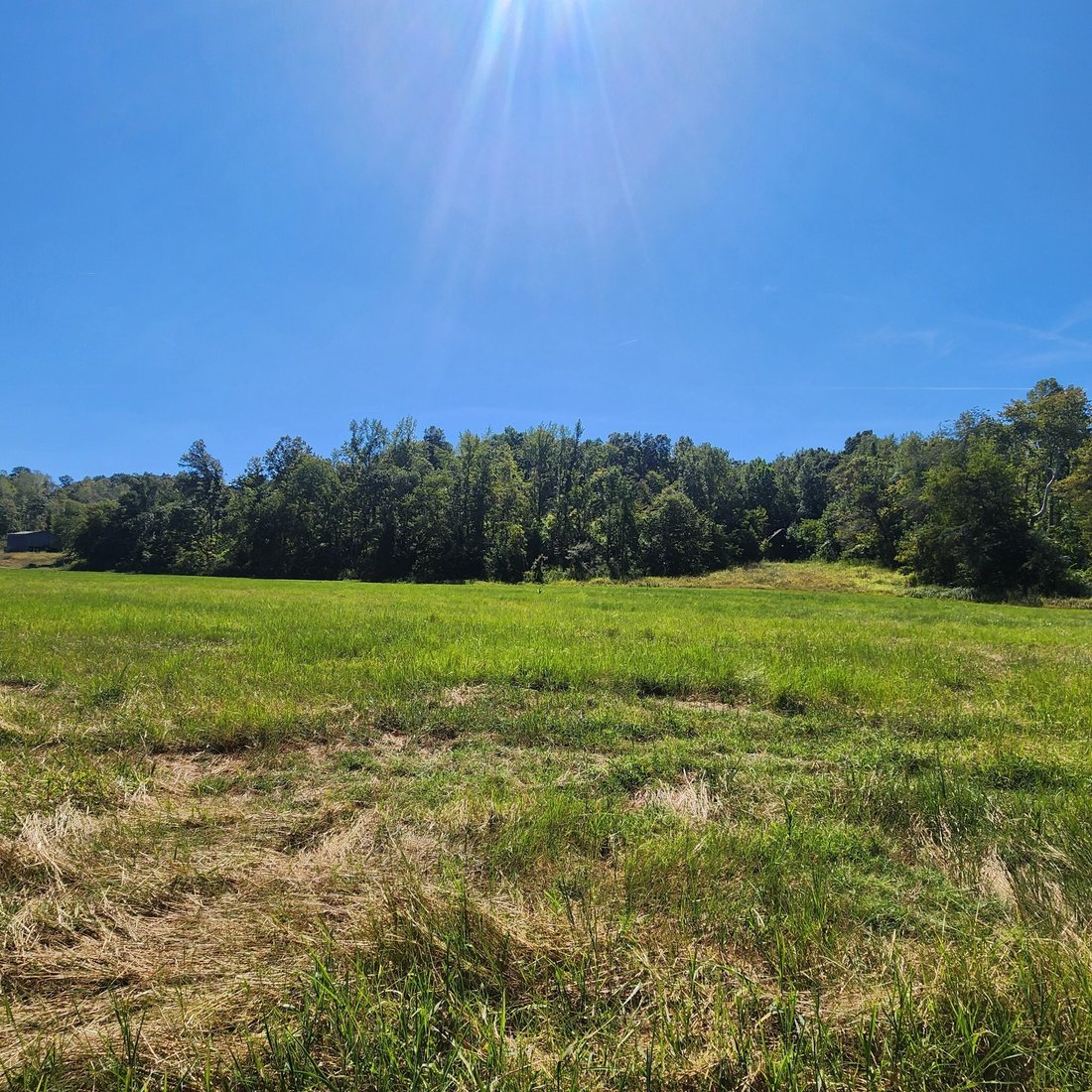 House in Bumpus Mills, Tennessee, United States 1 - 17781579