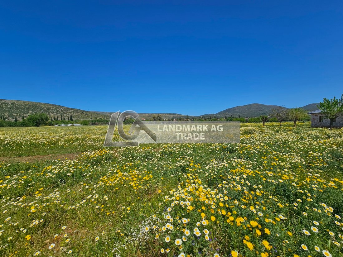 Land in Marathonas, Attica, Greece 2 - 17778827