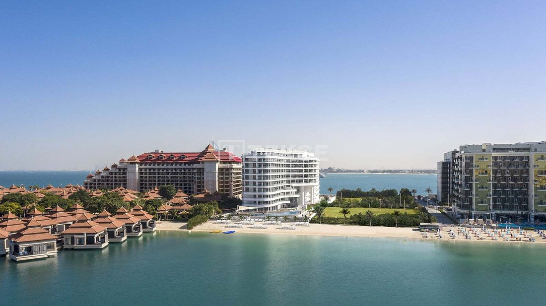 Apartment in Al Sufouh, Dubai, United Arab Emirates 2 - 17781158