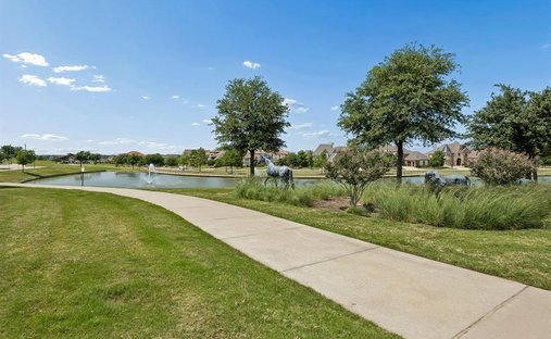 House in Frisco, Texas, United States 1