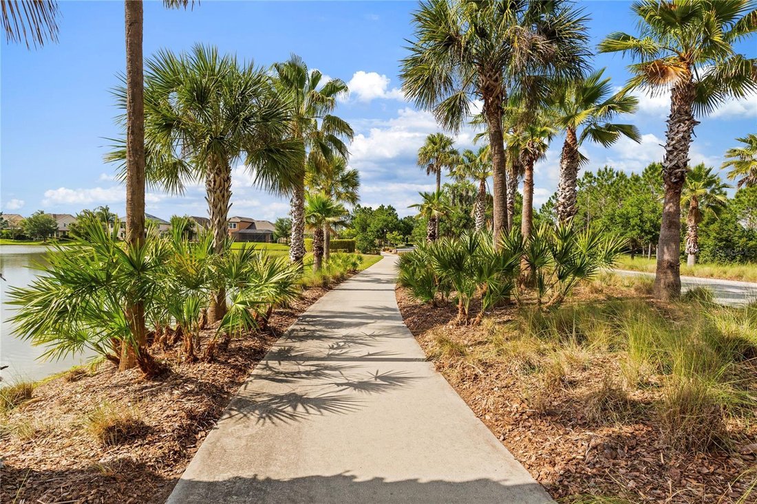 House in Zephyrhills, Florida, United States 4 - 17781029