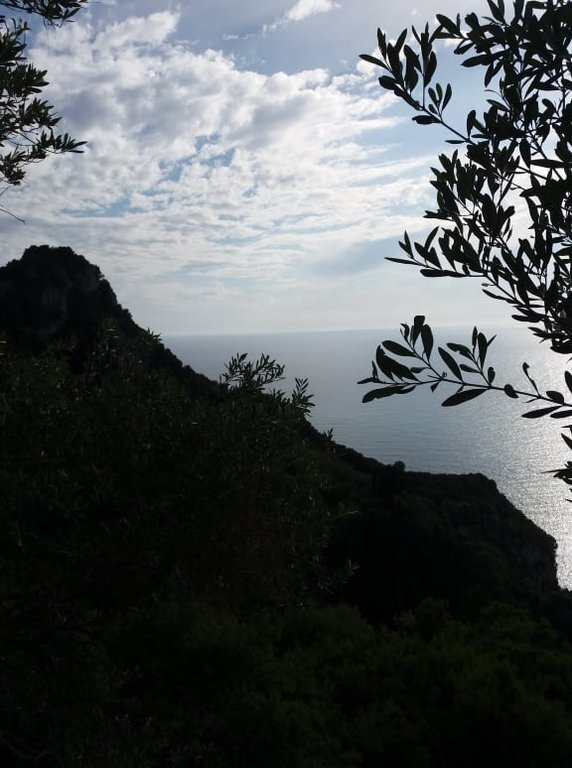 Land in Corfu, Peloponnese, Western Greece and the Ionian, Greece 4 - 17781340