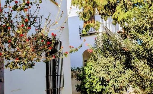 House in Distrito Bellavista-La Palmera, Seville, Spain 1