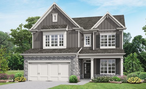 House in Flowery Branch, Georgia, United States 1