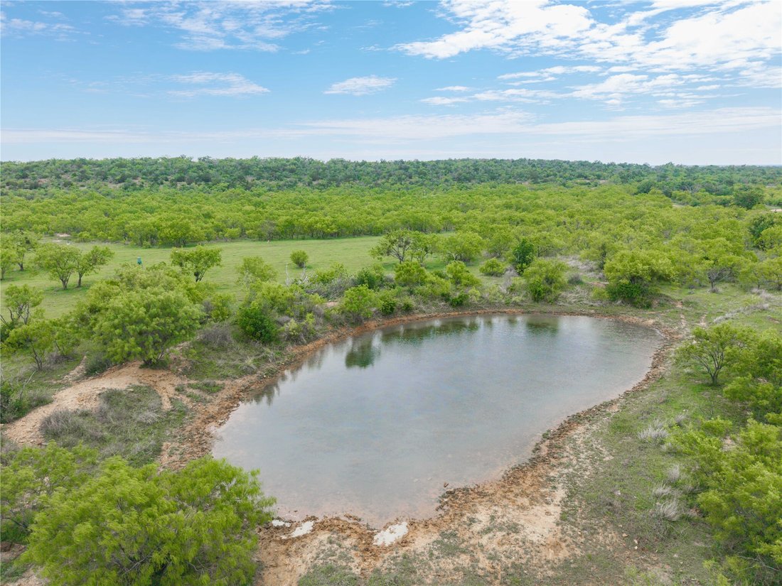 Land in Mullin, Texas, United States 3 - 17783007