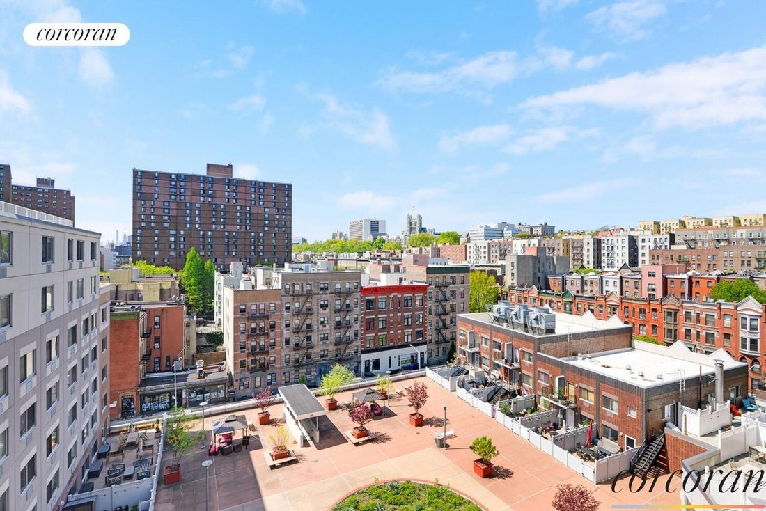 Cooperativa a New York, New York, Stati Uniti 5 - 17783055