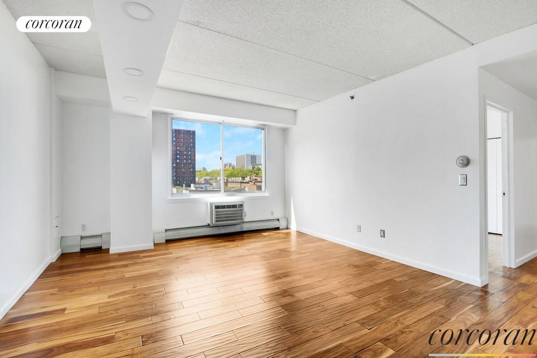 Cooperativa a New York, New York, Stati Uniti 2 - 17783055
