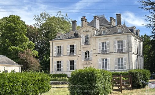 Castle in Sanitas-Rotonde, Tours, France 1