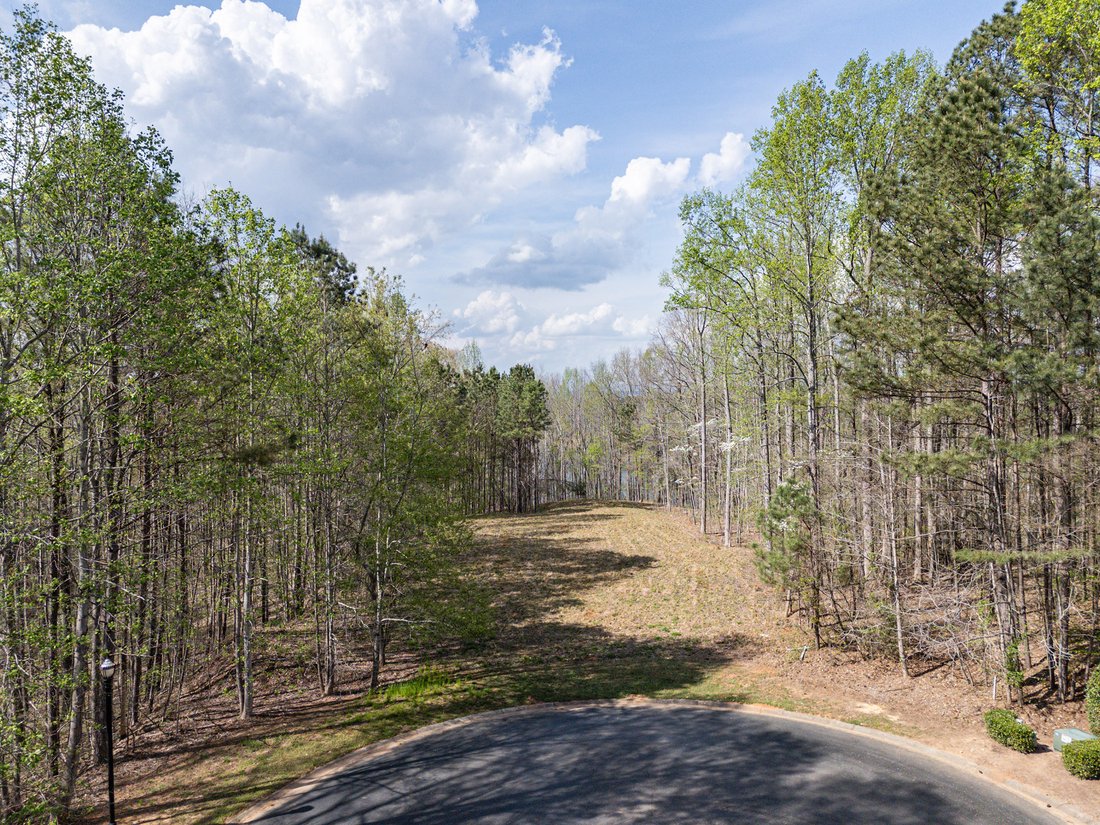 Land in Ball Ground, Georgia, United States 1 - 17779476