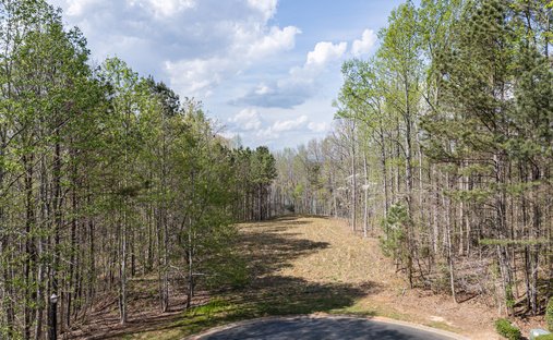 Land in Ball Ground, Georgia, United States 1