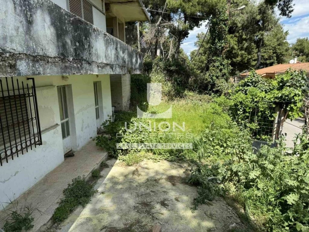 Land in Dionysos, Attica, Greece 2 - 17783439