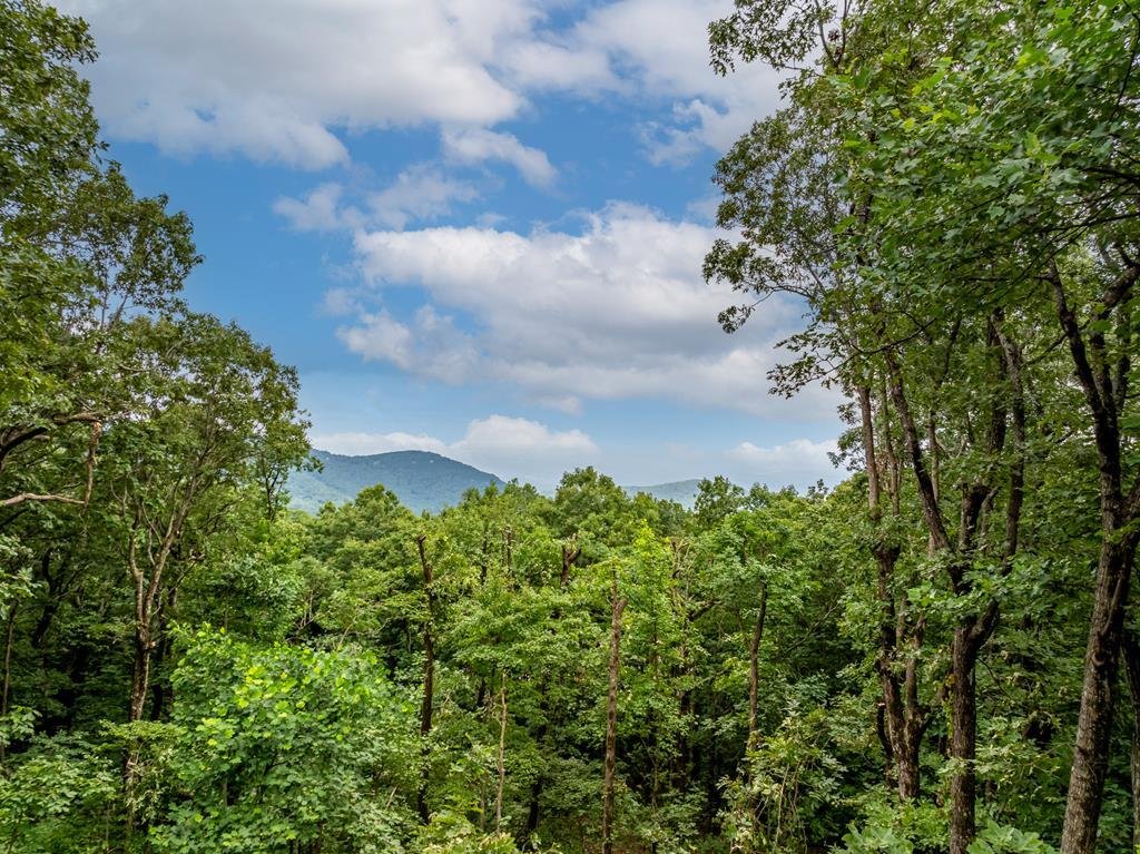 House in Jasper, Georgia, United States 4 - 17250515