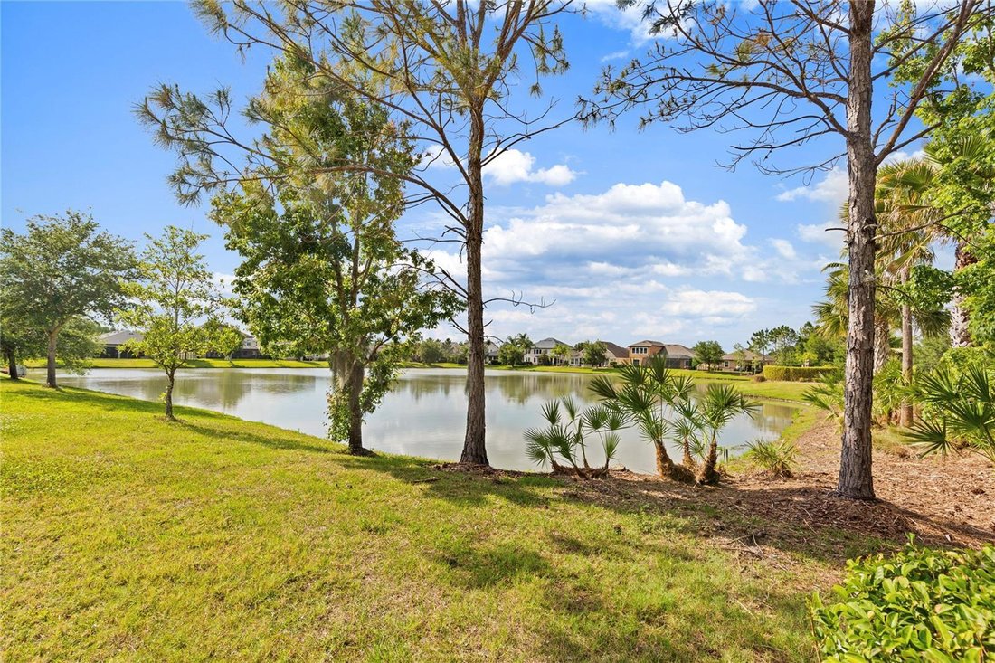 House in Zephyrhills, Florida, United States 3 - 17781029