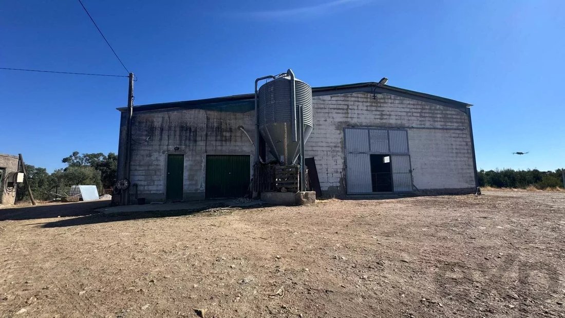 Farm Ranch in Aranhas, Castelo Branco District, Portugal 2 - 17779834