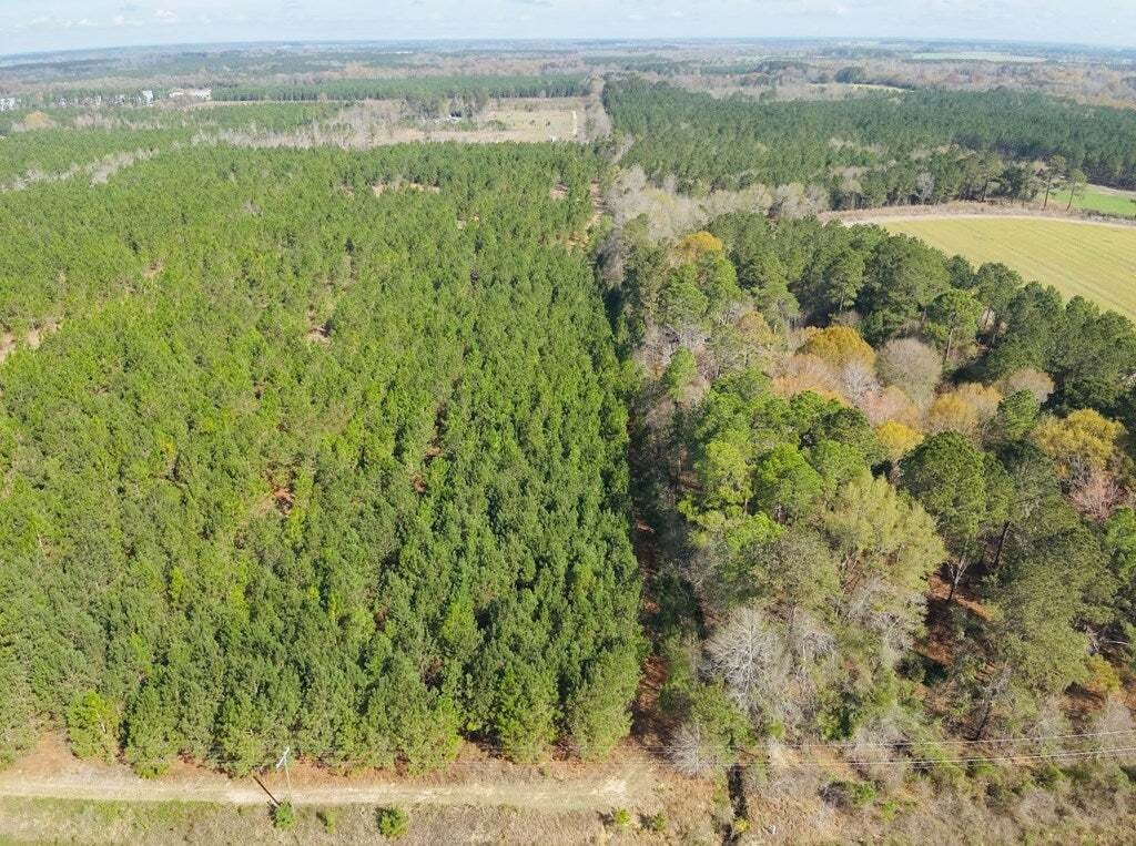 Azienda agricola a Pineview, Georgia, Stati Uniti 5 - 17778517