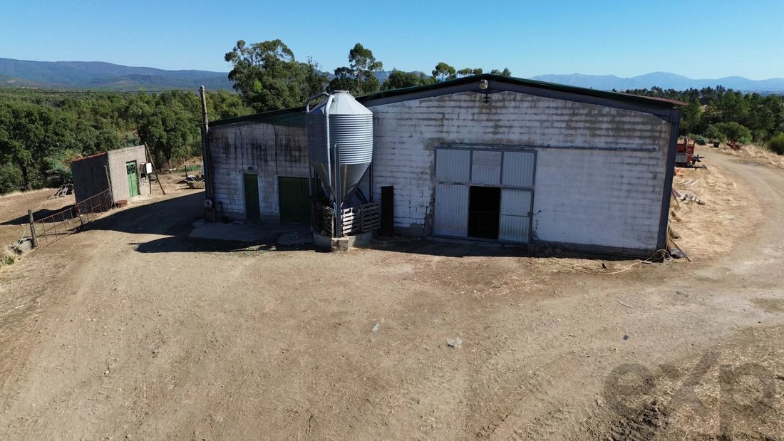 Farm Ranch in Aranhas, Castelo Branco District, Portugal 1 - 17779834
