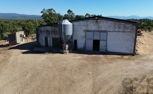 Rancho en Aranhas, Distrito de Castelo Branco, Portugal 1