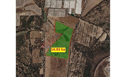 Land in San José Iturbide, Guanajuato, Mexico 1