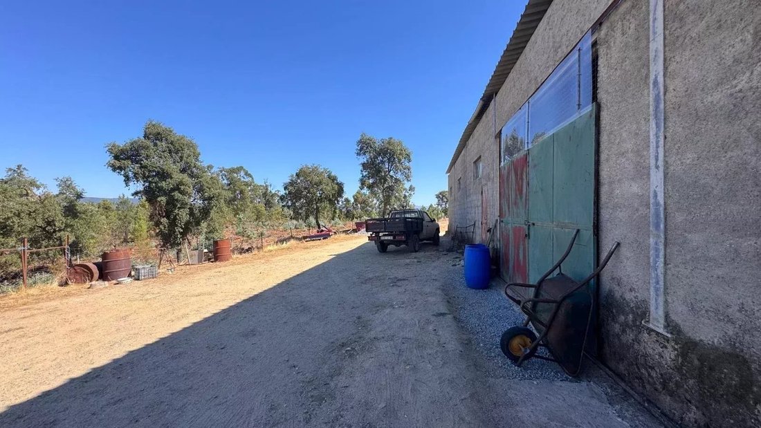 Farm Ranch in Aranhas, Castelo Branco District, Portugal 5 - 17779834
