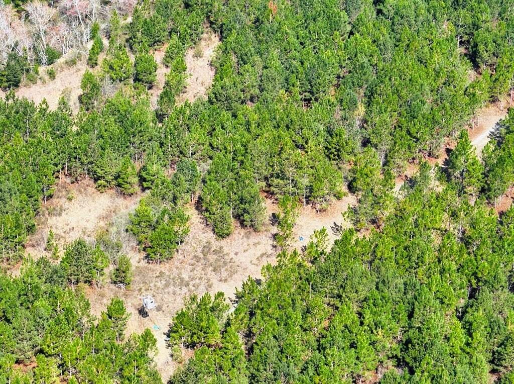 Azienda agricola a Pineview, Georgia, Stati Uniti 4 - 17778517