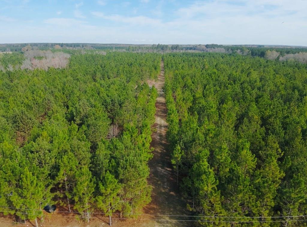 Azienda agricola a Pineview, Georgia, Stati Uniti 1 - 17778517