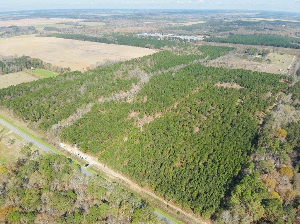 Azienda agricola a Pineview, Georgia, Stati Uniti 3 - 17778517