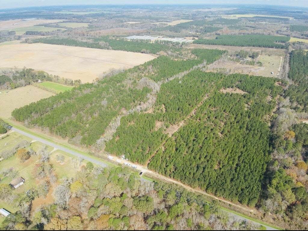 Azienda agricola a Pineview, Georgia, Stati Uniti 2 - 17778517