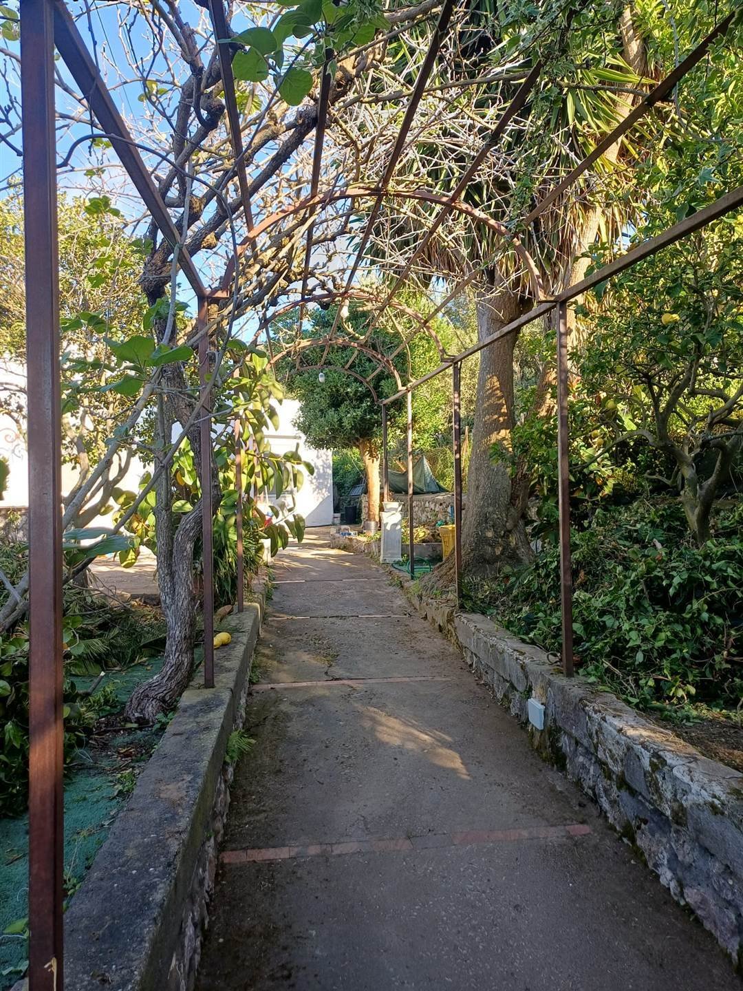 Apartment in Anacapri, Campania, Italy 2 - 17782737