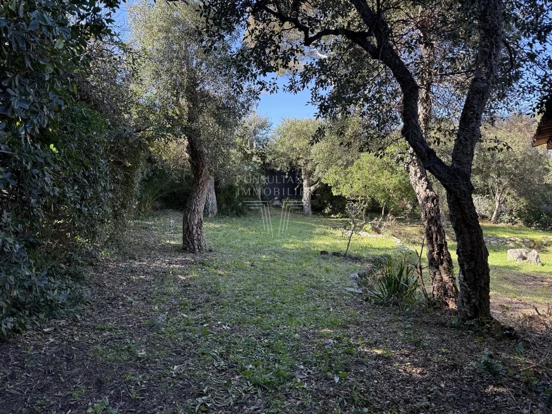 House in Ramatuelle, Provence-Alpes-Côte d'Azur, France 4 - 17267196