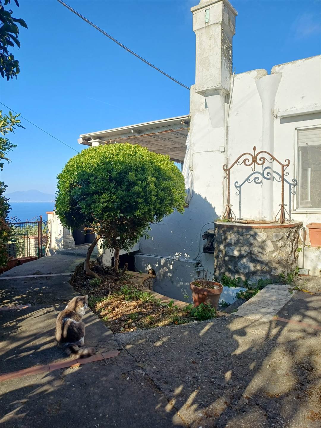 Apartment in Anacapri, Campania, Italy 1 - 17782737
