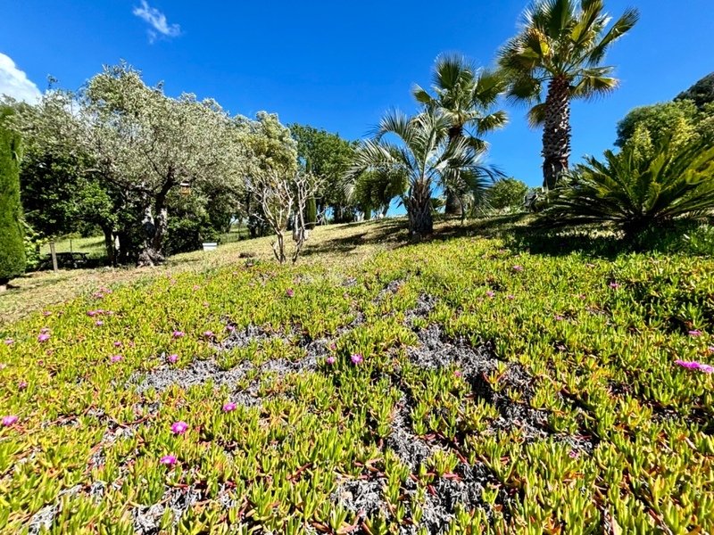 Villa in Exterieurs, Frejus, France 5 - 17780076