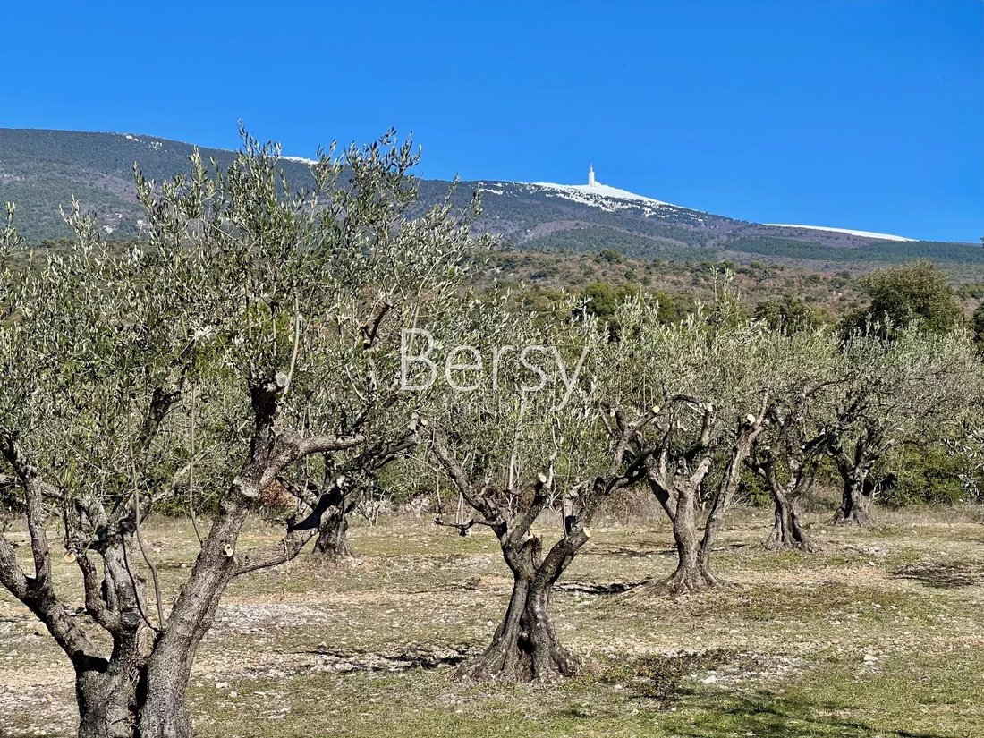 Villa in Bédoin, Provence-Alpes-Côte d'Azur, France 2 - 17784023