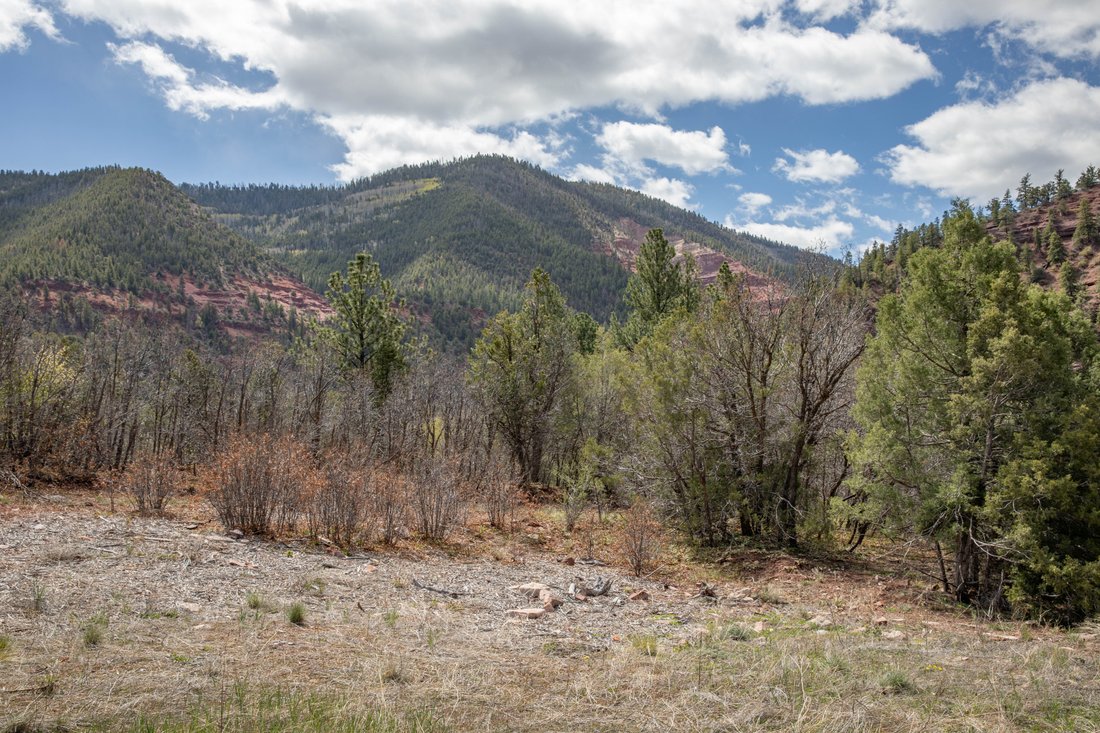 Placerville, Colorado, United States 2 - 17784524
