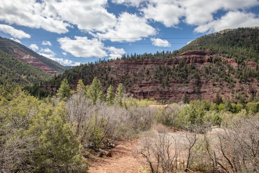 Placerville, Colorado, United States 3 - 17784524