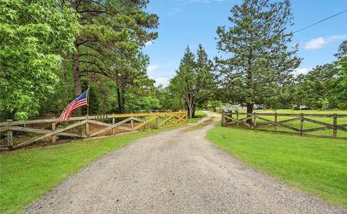 Maison à Willis, Texas, États-Unis 1