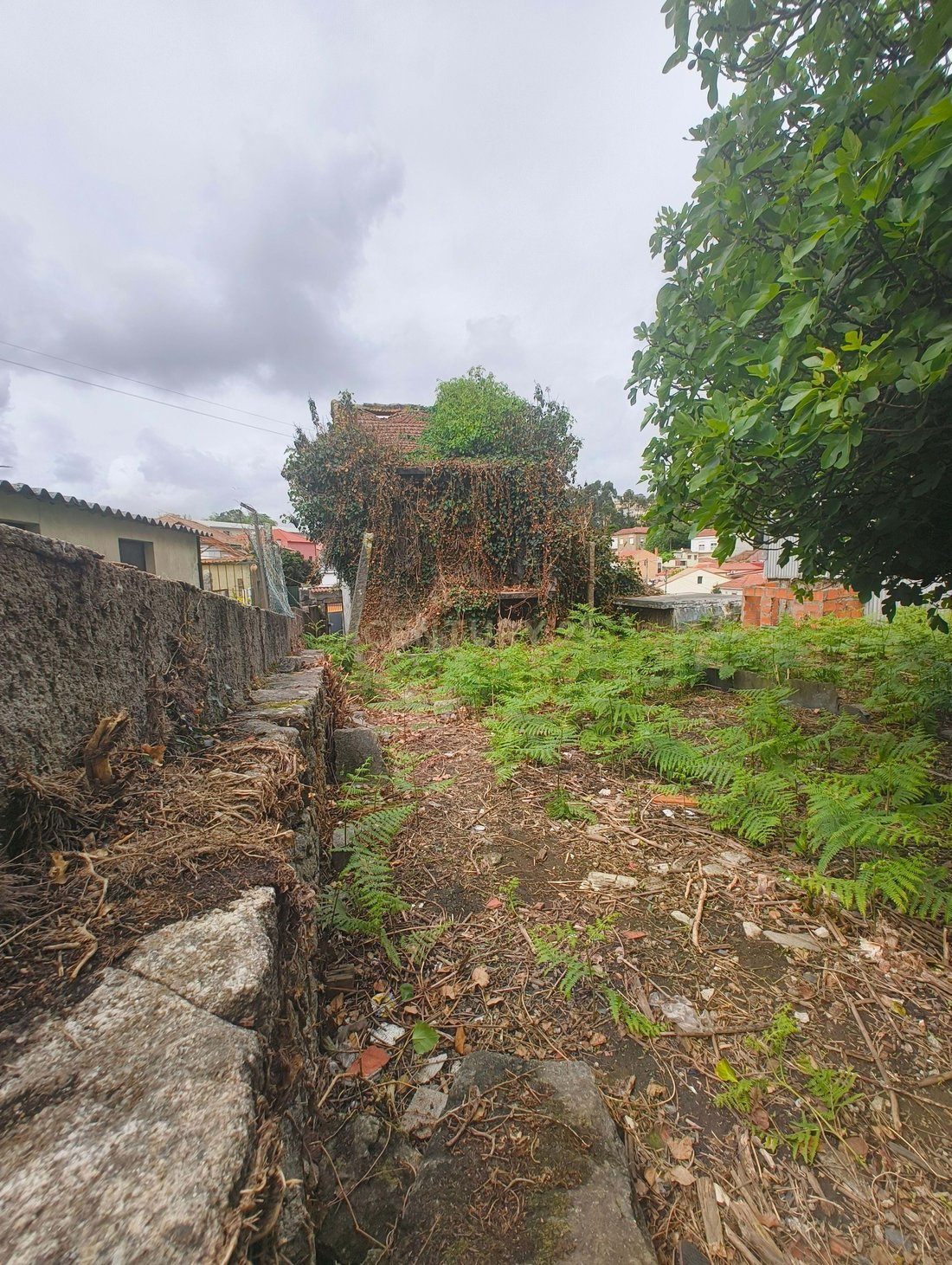 Land in Campanha, Porto District, Portugal 4 - 17784796