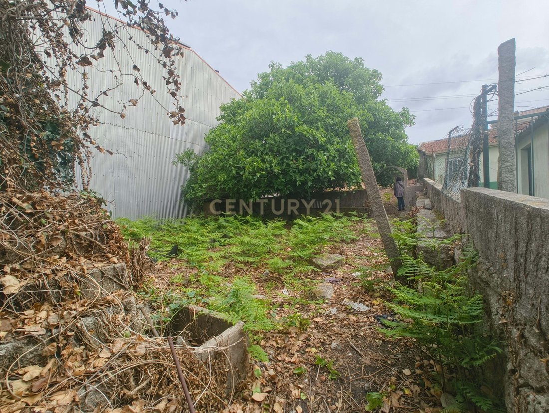 Land in Campanha, Porto District, Portugal 5 - 17784796